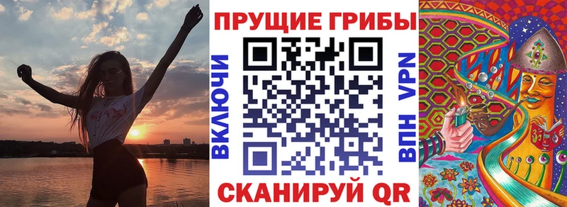 Псилоцибиновые грибы прущие грибы  Черняховск 