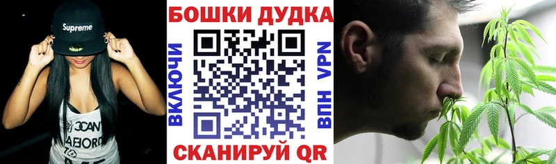 Бошки марихуана THC 21%  Черняховск 